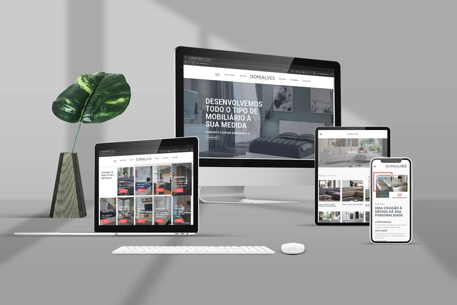 Web Design E Web Development Domialves
